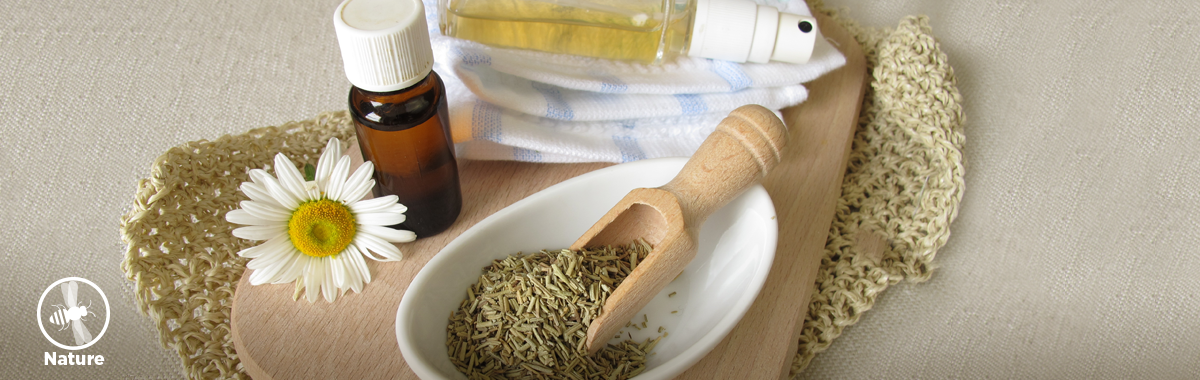 vanilla extract and herbs _ natural ways to keep mosquitoes away