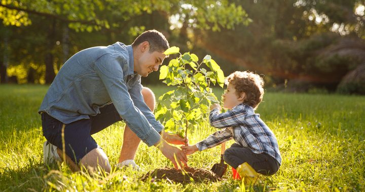 Father planting a tree in the yard with his son for Earth Day.