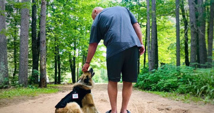 mental health service dogs